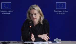 Raportuesja për Kosovën në Parlamentin Evropian, Viola von Cramon
