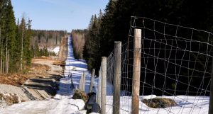 Finlanda vendos tela me gjemba në kufirin me Rusinë. Foto: Reuters