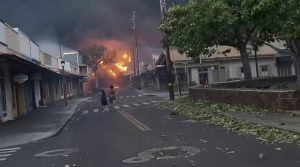 Lagje e përfshirë nga zjarret në Havaji. Foto: AP