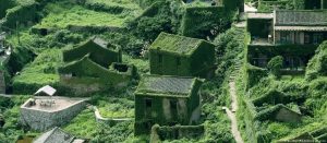 Kinë: Fshati Houtouwan në ishullin Shengshan, tërësisht i mbuluar nga myshku