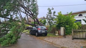 Një pemë e rrëzuar mbi një veturë të parkuar në veri të Francës gjatë stuhisë Ciaran, 2 nëntor 2023.
