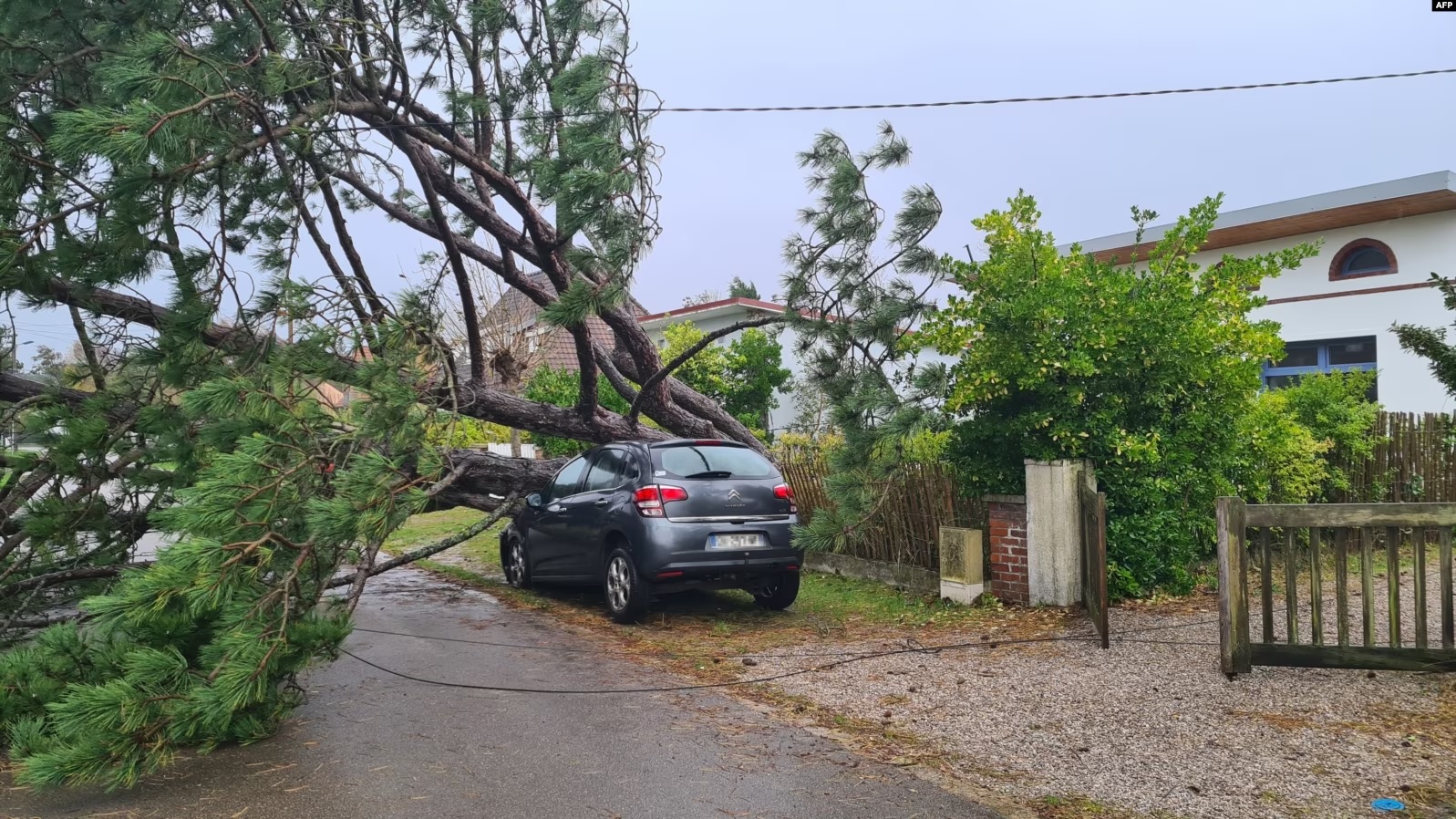 Një pemë e rrëzuar mbi një veturë të parkuar në veri të Francës gjatë stuhisë Ciaran, 2 nëntor 2023.