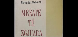 Ramadan Mehmeti / “Mëkate të Zgjuara”