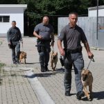 Policia trajnon operatorë me qen zyrtar për kërkim të armëve, drogave dhe kartëmonedhave