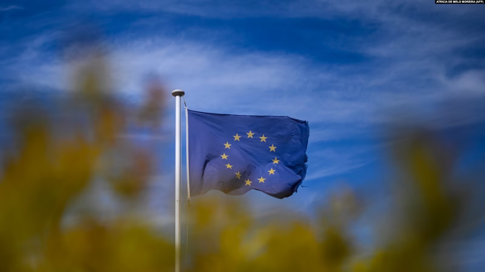 Flamuri i BE-së.