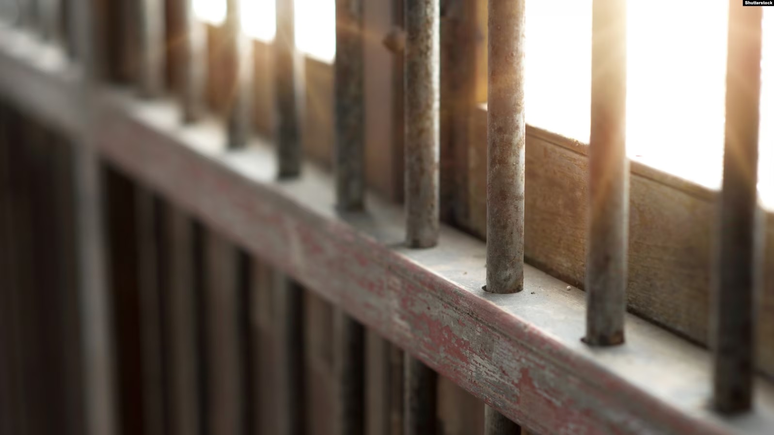 Grilat në një qeli burgu. Fotografi ilustruese