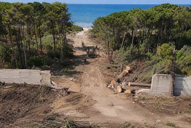 FOTO  Masakër mjedisore në Qerret  banorët denoncojnë ndërhyrjen te  Laguna Blu   SPAK të nisë hetimet 
