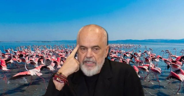 Protestuesit e shpallën fitore rezolutën e PE  reagon Rama  Mos dëgjoni korbat  llapaqorrat dhe VIP at e fryrë me botokse 